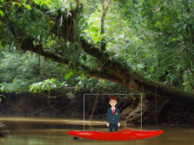 Richard Amazon Rainforest