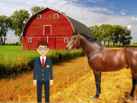 Horse on a farm