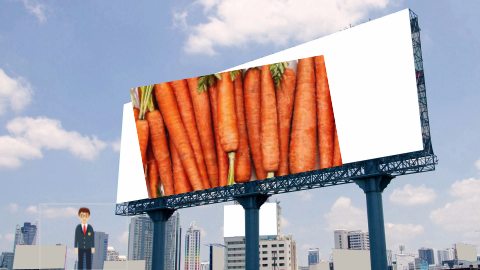 Project Carrot