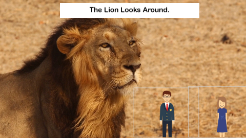 Lion adjusted image compression