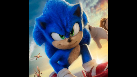 Sonic the hedgehog